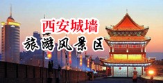 美女流白浆呻吟视频网站中国陕西-西安城墙旅游风景区